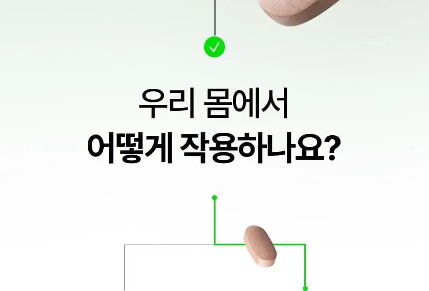 [리뉴얼/소용량] 바이탈뷰티 메타그린 슬림업 14일 (2주분) 상세페이지 19